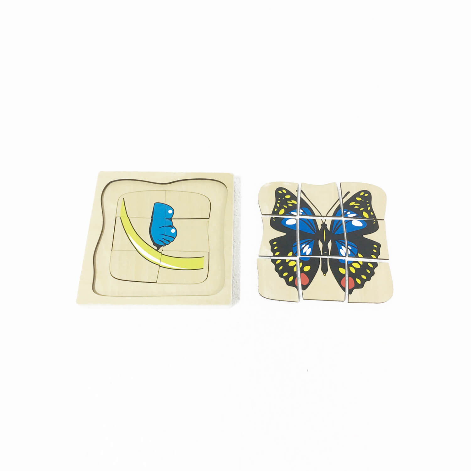 Animal Puzzle: Life Cycle Of Butterfly(5 Layers)