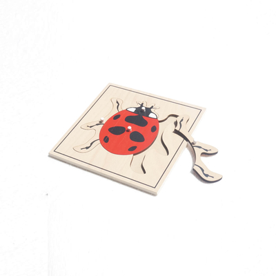 Animal Puzzle: Ladybug(plastic knob)